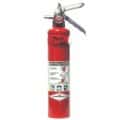 Amerex B417T – Extintor ABC de 2.5 lb (Vehículo) 1A:10B:C